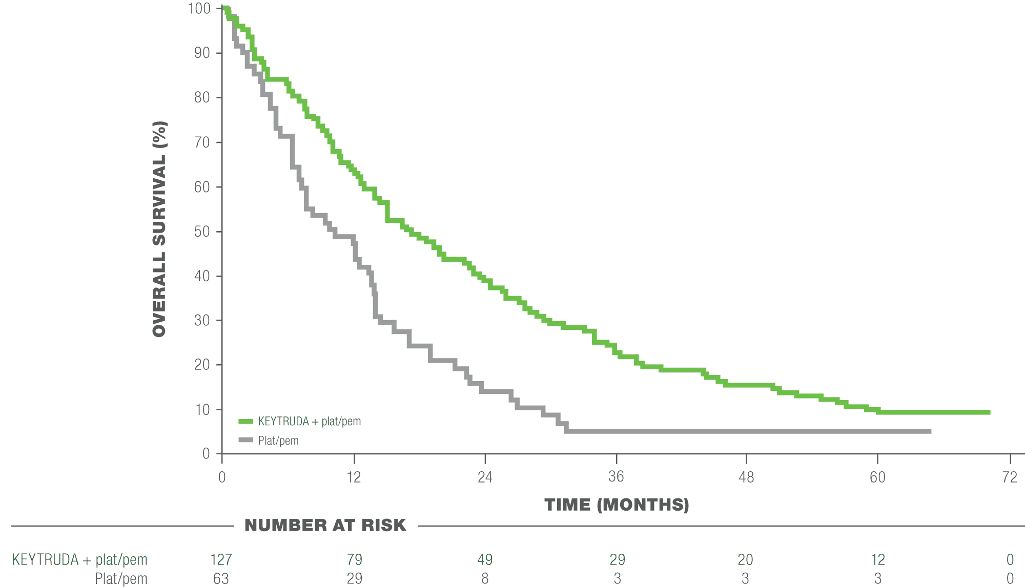 Kaplan-Meier Estimates of Overall Survival (OS) in Patients Without PD-L1 Expression (TPS <1%) in KEYNOTE-189
